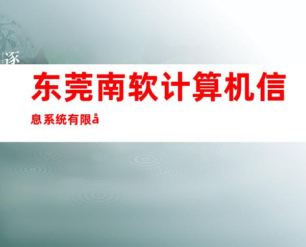 东莞南软计算机信息系统有限公司