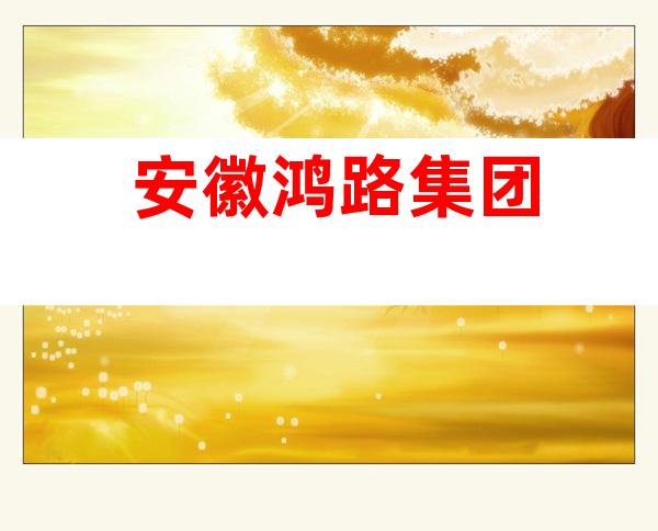安徽鸿路集团