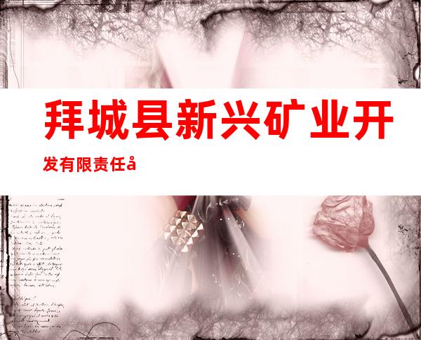 拜城县新兴矿业开发有限责任公司