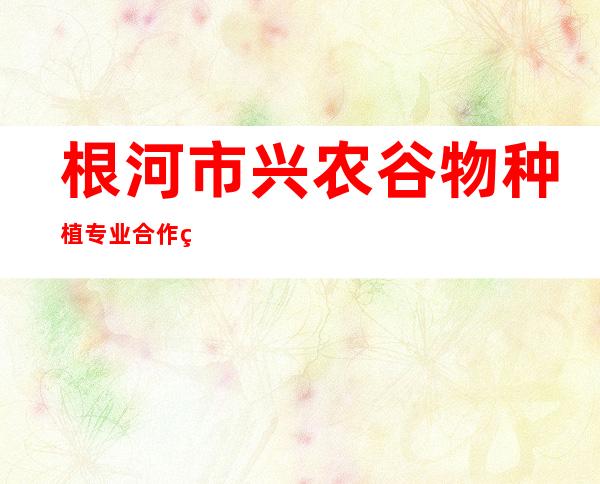 根河市兴农谷物种植专业合作社