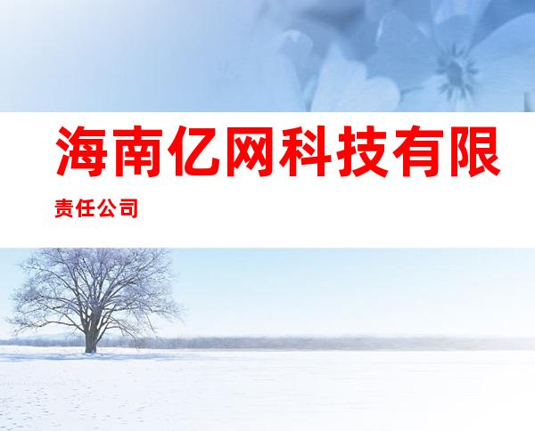 海南亿网科技有限责任公司