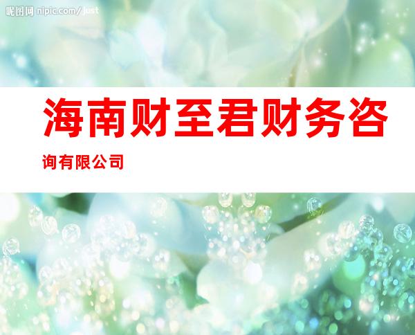 海南财至君财务咨询有限公司