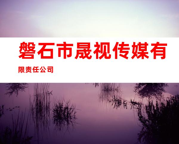 磐石市晟视传媒有限责任公司