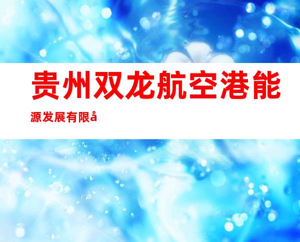 贵州双龙航空港能源发展有限公司